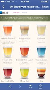 30 Amazing Drinks You Probably Haven T Tried Shot Recipes Fun Drinks Alcohol