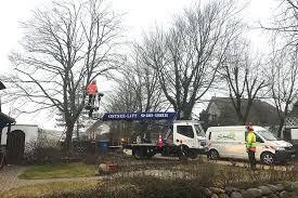 Man schätzt unseren service beim. Leistungen Von Galabau Rostock Im Uberblick