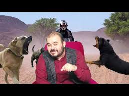 Ruyada Kopek Eti Gormek Nedir Ruyada Kopek Eti Yedigini Gormek Ne Anlama Gelir Huseyin Duru Youtube