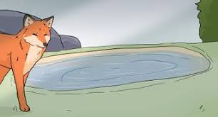 See full list on wikihow.com 4 Ways To Deter Foxes Wikihow
