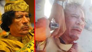 another video bout how i hate cats!!!!