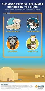 The Top Star Wars Inspired Dog Names Animal Hospital Dog Names Star Wars Inspired