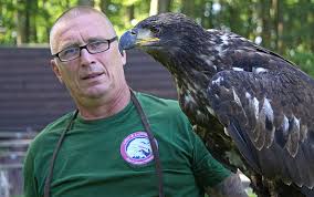 We did not find results for: Adler Und Jagdfalkenhof Zur Calauer Schweiz Spreewald Werchow