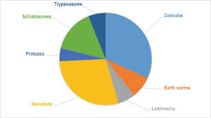 Image result for Vernonia musofensis