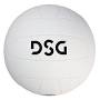 Volleyball price from www.dickssportinggoods.com