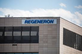 The fda says regeneron's antibody . Gilead Regeneron Amgen Covid Treatment Stocks Still Worth Looking At As Vaccine Nears