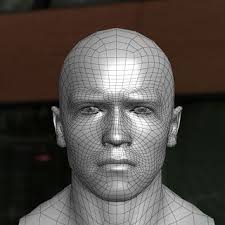 3d Model Arnold Schwarzenegger Head 3d Model Arnold Schwarzenegger 3d Model Head Anatomy