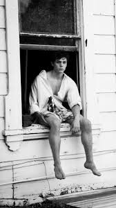 Evan Peters Iphone Wallpapers Top Free Evan Peters Iphone Backgrounds Wallpaperaccess