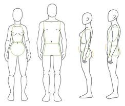 We did not find results for: Human Anatomy Fundamentals Advanced Body Proportions
