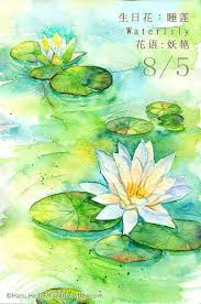 生日花 睡蓮 waterlil haru hello art tutorials watercolor watercolor flowers paintings lilies drawing