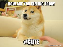 It all just feels so useless. How Are You Feeling Today Cute Jiffpom Make A Meme