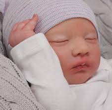 Forever Babies Nursery