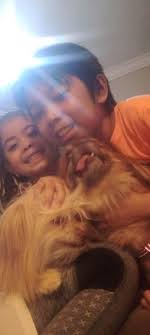 Chicken puff pastry,cheese puff pastry,tortilla pizza at mushroom soup  #azeravlog #arabiccuisine #fblifestyle