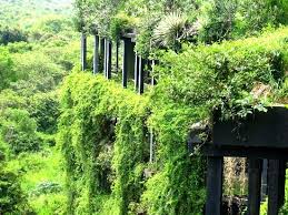 Kandalama Hotel Green Roof Exterior