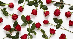 History And Meaning Behind Red Roses Proflowers Blog Rose Wallpaper Red Roses Wallpaper Wallpaper Iphone Roses