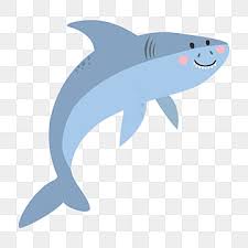 Cute Shark Png Images Vector And Psd Files Free Download On Pngtree Deviantart is the world's largest online social community for artists and art enthusiasts, allowing. cute shark png images vector and psd