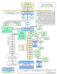 We did not find results for: ØªØ±ØªÙŠØ¨ Ø§Ù„Ø§Ù†Ø¨ÙŠØ§Ø¡ ÙˆØ§Ù‚ÙˆØ§Ù…Ù‡Ù… Ø£ÙØ¶Ù„ Ø£Ø¬Ø§Ø¨Ø©