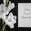 Our words may not take away the pain of losing a loved one, but they can help a grieving person feel. 1