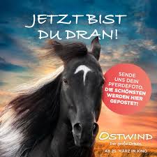 Bislang mussten sich die zuschauer immer knapp zwei jahre zwischen zwei filmen der reihe gedulden. Ostwind Film Publicacoes Facebook