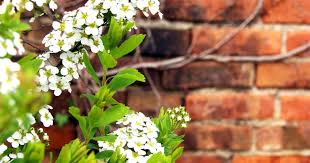 We did not find results for: Gartenmauer Selber Bauen Material Und Anleitung Das Haus