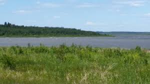 Come join us in our beautiful 19 acre pine filled, rolling terrain campground in custer, south dakota. Miquelon Lake Provincial Park Wikipedia