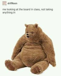 Yo Why Do I Relate To That Bear So Much Animal Memes Teddy Bear Day Funny Memes
