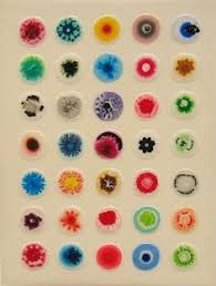 96 Best Bacteria Party Images Microbiology Science Petri