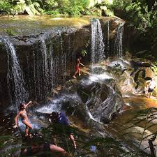 If you are going to park in here i'd advise paying the park usage fee as the rangers visit regularly. Somersby Falls Nsw Australia