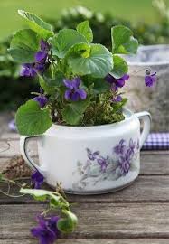 Fruhling Ostern Diy Dekoration Spring Easter Decor Pflanzen Diy Dekoration Fruhling Garten Design