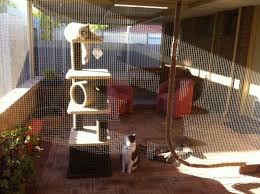 Best large outdoor cat enclosure: Catsafe Quality Cat Enclosures