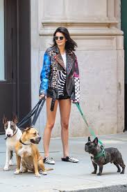 Cops called over dog bite | tmz live. Kendall Jenner Dogs