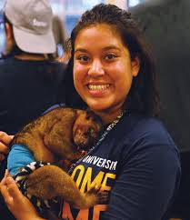 THERE'S A NEW GAME IN TOWN