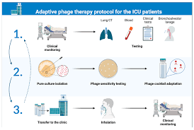 Image result for Clinical Adaptive Test