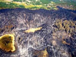 The deschutes national forest is a united states national forest located in parts of deschutes, klamath, lake, and jefferson counties in cen. Deschutes National Forest Home