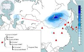 Korean girls names beginning with c. Korean Ethnogenesis