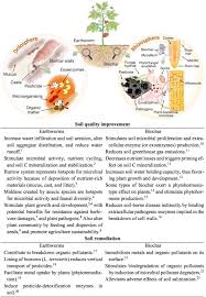 Sprays rarely work on roaches already, and you need to remember, for every day that you try to treat these bugs on your. Biochar And Earthworms Working In Tandem Research Opportunities For Soil Bioremediation Sciencedirect