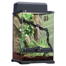 Pin On Terrarium Reptile