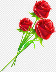 You can start downloading png flower pictures, which will make your designs different, without paying any fee! Rose Flower Love Gift Woman Rose Love Flower Arranging Artificial Flower Png Pngwing