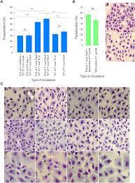 According to a notice issued by the department of health services, as many as 170,000 elderly people will be inoculated with the second dose of vero cell vaccines. Plos Neglected Tropical Diseases Extracellular Vesicles Of Trypanosoma Cruzi Tissue Culture Cell Derived Trypomastigotes Induction Of Physiological Changes In Non Parasitized Culture Cells