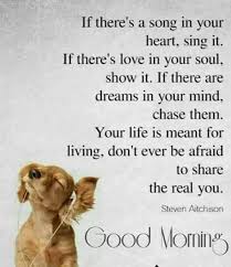 35 Cool Funny Animal Memes Funny Animals Pictures 12 Morning Quotes Funny Good Morning Quotes Funny Good Morning Quotes