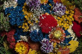 Check spelling or type a new query. Colorful Dried Flowers Ideal For Backgrounds Stock Image Image Of Backgrounds Bouquet 172656953