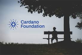 Insights into our p2p deployment. Cardano The New Kid On The Crypto Block By Maximilian Perkmann Coinmonks Medium