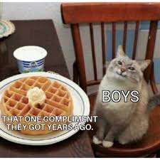 Our funny clean memes will get you on the floor laughing like there is no tomorrow. 50 Funny Clean Memes Perfect For Kids Yellow Blogtopus