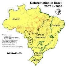 Aproveite nossas ofertas para comprar produtos online, com ótimos preços. Deforestation In Brazil Wikipedia