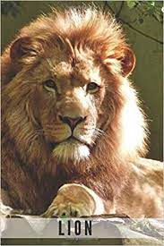 Lion coloring book for adults vector. Lion Notebook With Animals For Kids Notebook For Coloring Drawing And Writing Realistic Colors 110 Pages Unlined 6 X 9 Animal Glossy Notebook Notebook Animal Glossy Journals Notebooks 9781073050352 Amazon Com Books