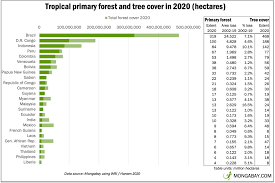 Penting Bagi Dunia Berikut 10 Informasi Tentang Hutan Hujan Tropis Mongabay Co Id