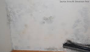 The most effective, high quality and stylish air purifiers on the market. What Are The Levels Of Mold Damage