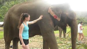 Fundraiser by Dylan Henriksen : My wildlife project adventures in Sri Lanka