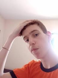 Studio Ghibli for a Sonic anime?