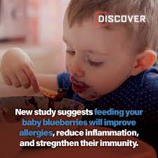 Has anyone used Blueberry for pediatric care?